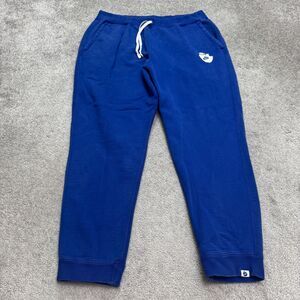 Nike Jogger Sweatpants mens large Blue Fleece Apple Logo Pockets Casual Active